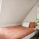 Elegant Luxury In The Heart Of