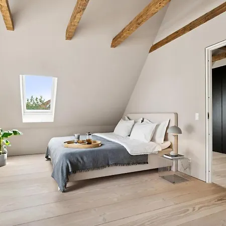 Elegant Luxury In The Heart Of